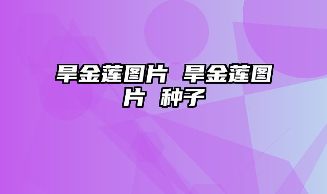 旱金莲图片 旱金莲图片 种子