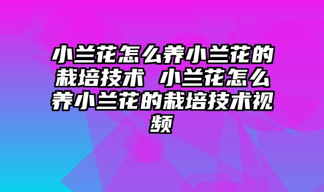 小兰花怎么养小兰花的栽培技术 小兰花怎么养小兰花的栽培技术视频