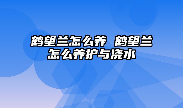 鹤望兰怎么养 鹤望兰怎么养护与浇水