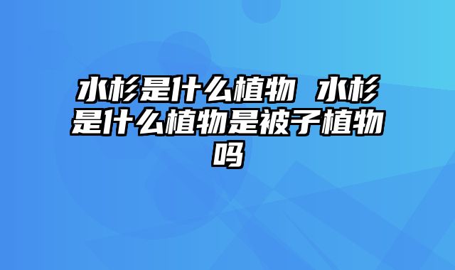 水杉是什么植物 水杉是什么植物是被子植物吗