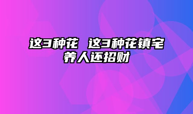 这3种花 这3种花镇宅养人还招财