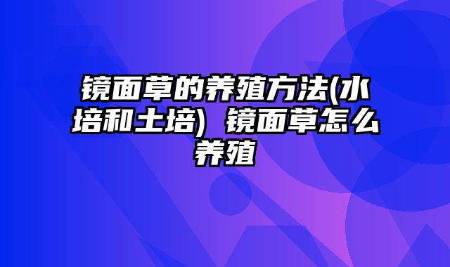 镜面草的养殖方法(水培和土培) 镜面草怎么养殖