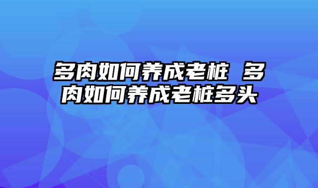 多肉如何养成老桩 多肉如何养成老桩多头