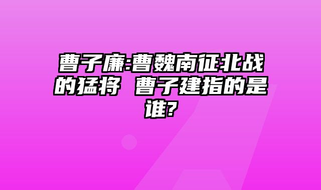 曹子廉:曹魏南征北战的猛将 曹子建指的是谁?