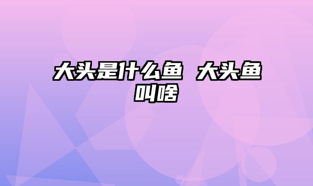 大头是什么鱼 大头鱼叫啥