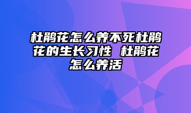 杜鹃花怎么养不死杜鹃花的生长习性 杜鹃花怎么养活