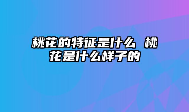 桃花的特征是什么 桃花是什么样子的