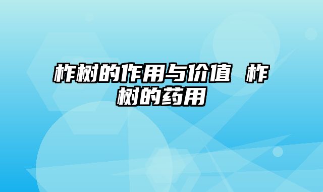 柞树的作用与价值 柞树的药用
