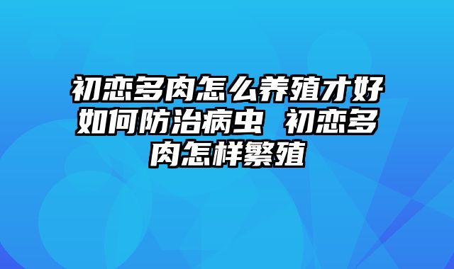 初恋多肉怎么养殖才好如何防治病虫 初恋多肉怎样繁殖