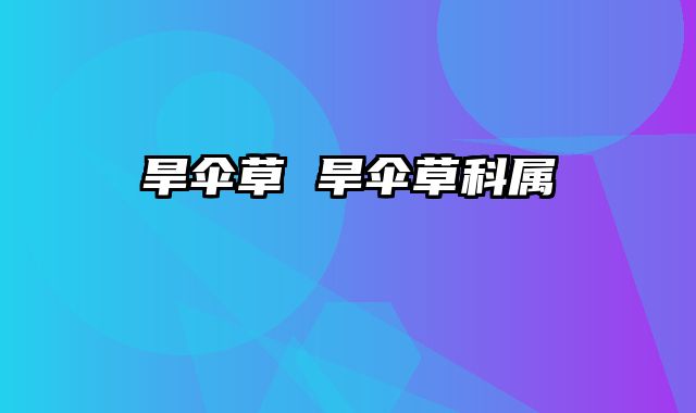 旱伞草 旱伞草科属