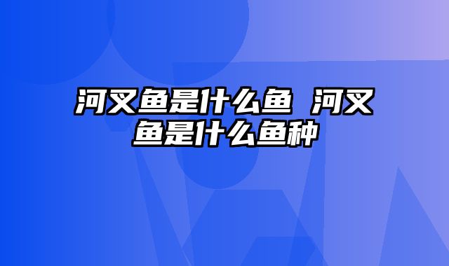 河叉鱼是什么鱼 河叉鱼是什么鱼种