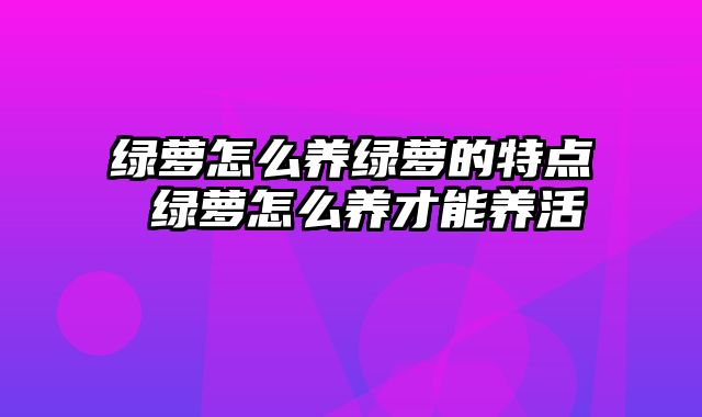绿萝怎么养绿萝的特点 绿萝怎么养才能养活