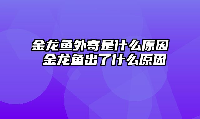 金龙鱼外寄是什么原因 金龙鱼出了什么原因