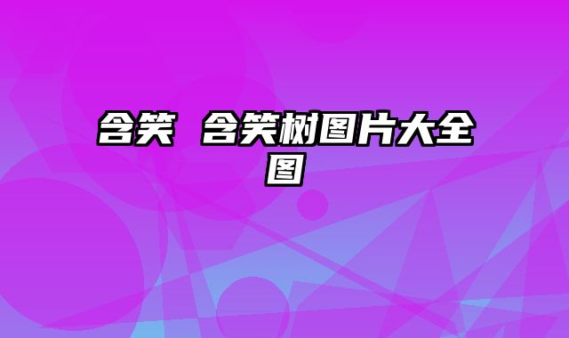 含笑 含笑树图片大全图