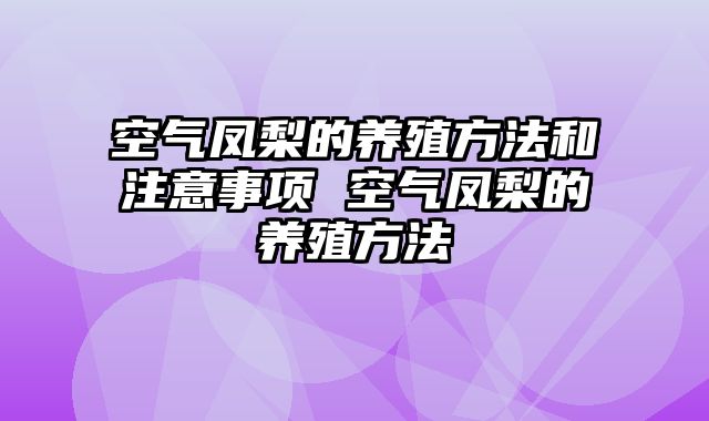 空气凤梨的养殖方法和注意事项 空气凤梨的养殖方法