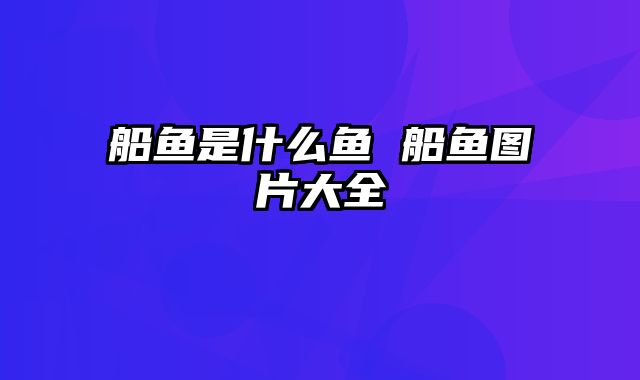 船鱼是什么鱼 船鱼图片大全
