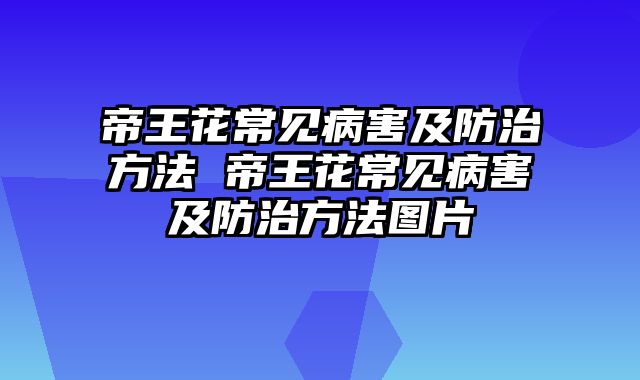 帝王花常见病害及防治方法 帝王花常见病害及防治方法图片