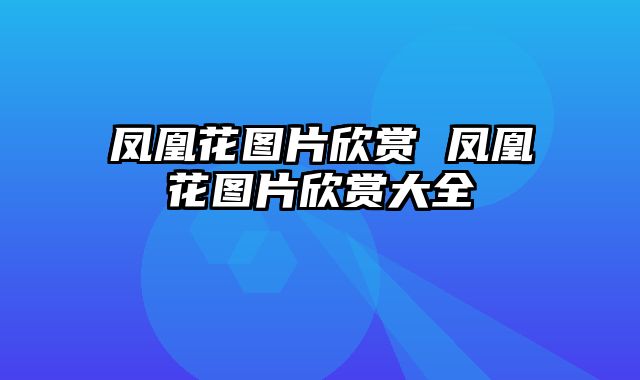 凤凰花图片欣赏 凤凰花图片欣赏大全