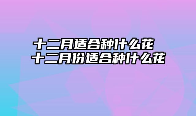 十二月适合种什么花 十二月份适合种什么花