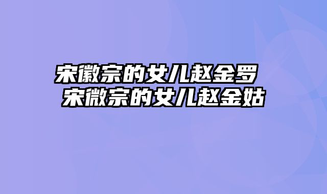 宋徽宗的女儿赵金罗 宋微宗的女儿赵金姑