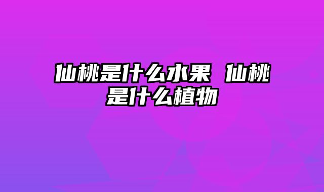 仙桃是什么水果 仙桃是什么植物