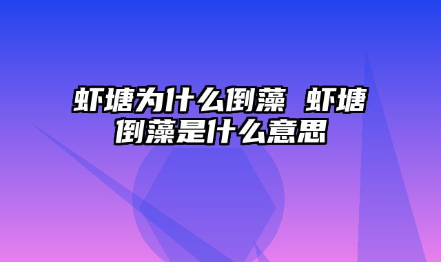 虾塘为什么倒藻 虾塘倒藻是什么意思