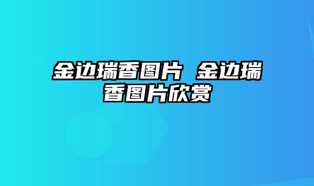 金边瑞香图片 金边瑞香图片欣赏
