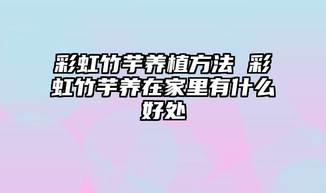彩虹竹芋养植方法 彩虹竹芋养在家里有什么好处