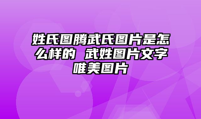 姓氏图腾武氏图片是怎么样的 武姓图片文字唯美图片