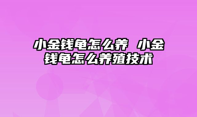 小金钱龟怎么养 小金钱龟怎么养殖技术