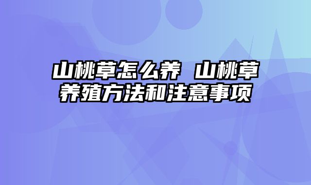 山桃草怎么养 山桃草养殖方法和注意事项