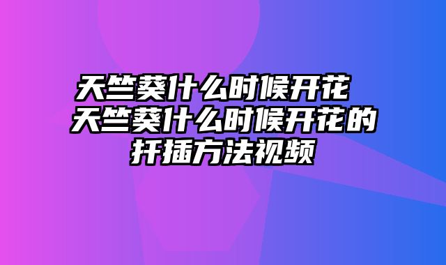 天竺葵什么时候开花 天竺葵什么时候开花的扦插方法视频