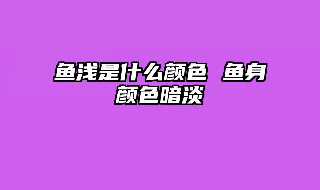 鱼浅是什么颜色 鱼身颜色暗淡