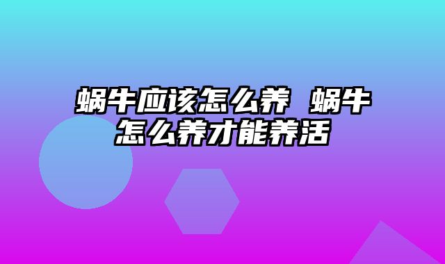 蜗牛应该怎么养 蜗牛怎么养才能养活
