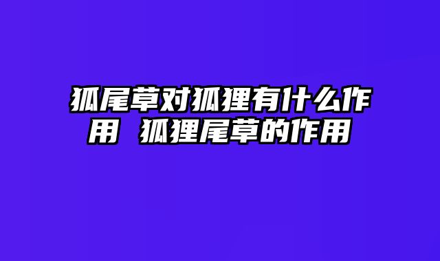 狐尾草对狐狸有什么作用 狐狸尾草的作用
