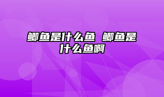 鲫鱼是什么鱼 鲫鱼是什么鱼啊