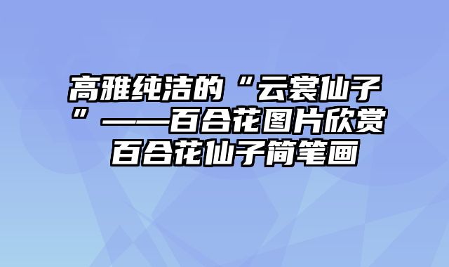 高雅纯洁的“云裳仙子”——百合花图片欣赏 百合花仙子简笔画
