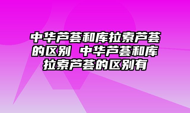 中华芦荟和库拉索芦荟的区别 中华芦荟和库拉索芦荟的区别有