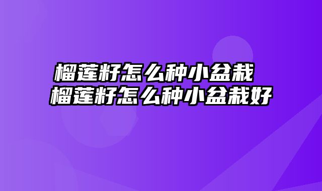 榴莲籽怎么种小盆栽 榴莲籽怎么种小盆栽好