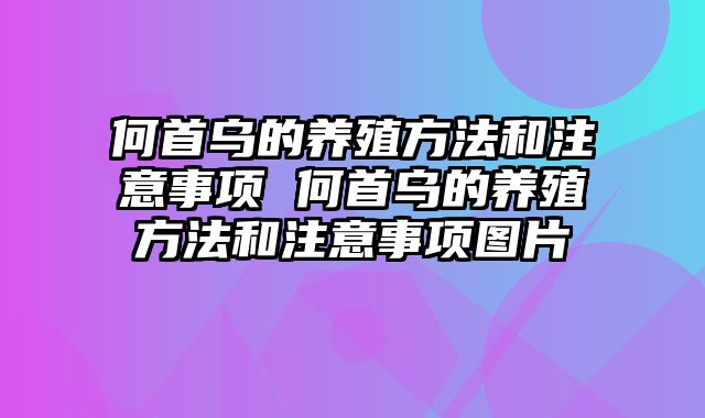 何首乌的养殖方法和注意事项 何首乌的养殖方法和注意事项图片