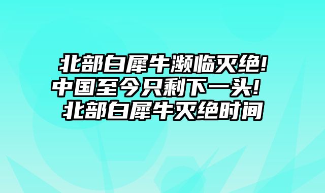 北部白犀牛濒临灭绝!中国至今只剩下一头! 北部白犀牛灭绝时间