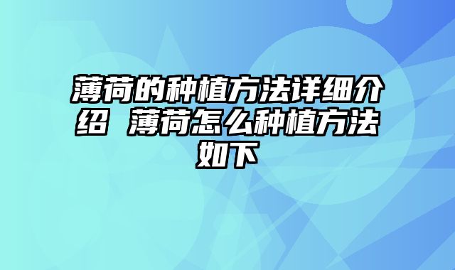 薄荷的种植方法详细介绍 薄荷怎么种植方法如下