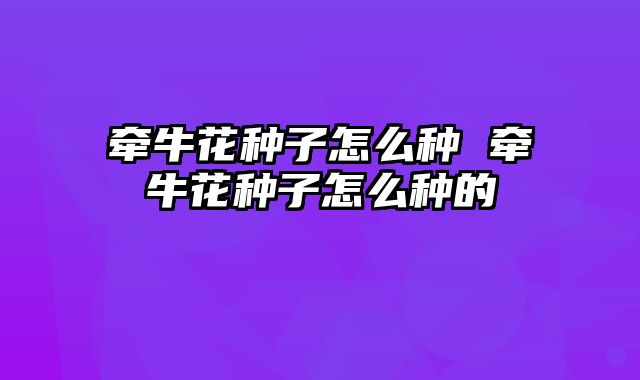 牵牛花种子怎么种 牵牛花种子怎么种的