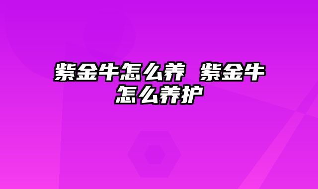 紫金牛怎么养 紫金牛怎么养护