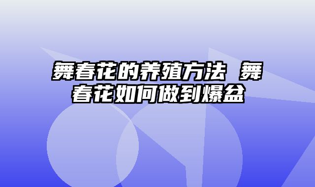 舞春花的养殖方法 舞春花如何做到爆盆