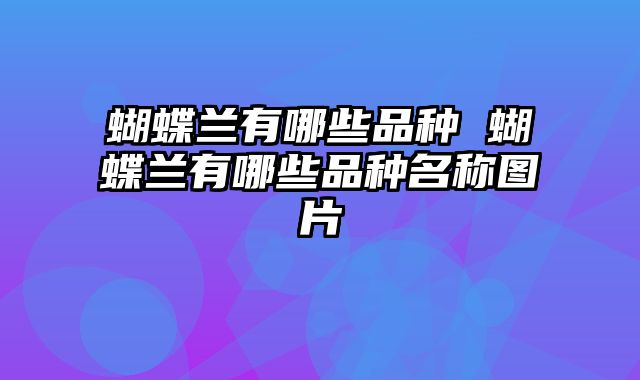蝴蝶兰有哪些品种 蝴蝶兰有哪些品种名称图片