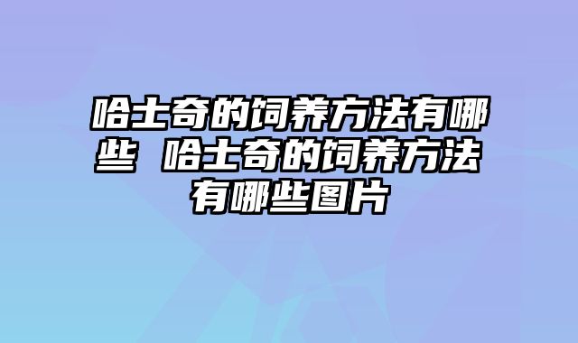 哈士奇的饲养方法有哪些 哈士奇的饲养方法有哪些图片