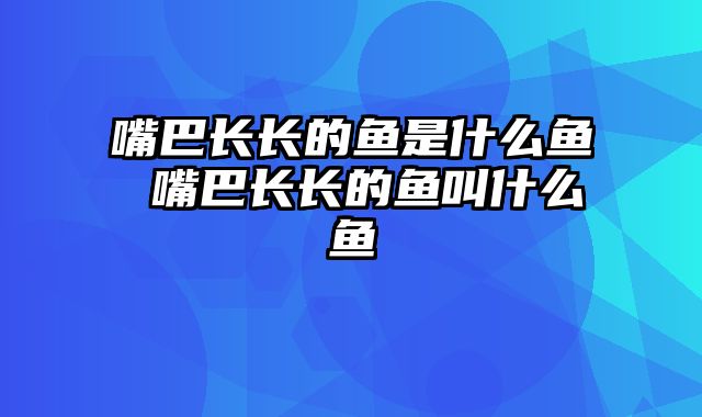 嘴巴长长的鱼是什么鱼 嘴巴长长的鱼叫什么鱼
