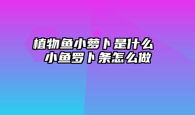 植物鱼小萝卜是什么 小鱼罗卜条怎么做