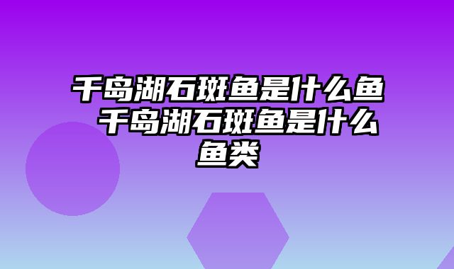 千岛湖石斑鱼是什么鱼 千岛湖石斑鱼是什么鱼类